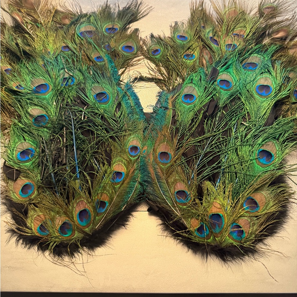Elegant Peacock Feather wings for Halloween costume or masquerade - Picture 4 of 4